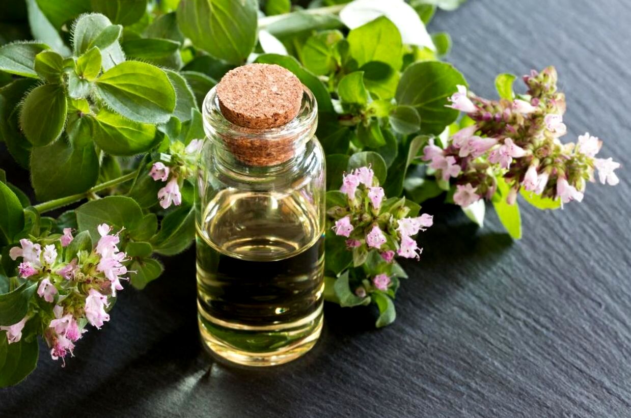 فواید عرق مرزه برای تقویت اسپرم آقایان 