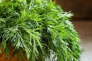 تاثیرات شگفت انگیز سبزی شوید بر تخمدان 