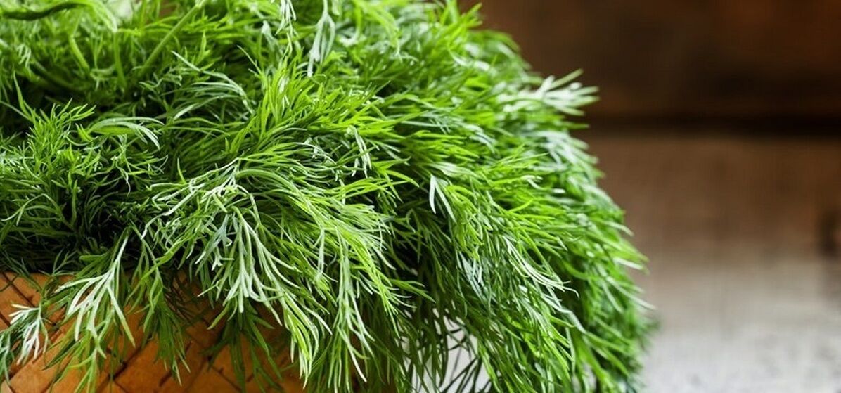 تاثیرات شگفت انگیز سبزی شوید بر تخمدان 