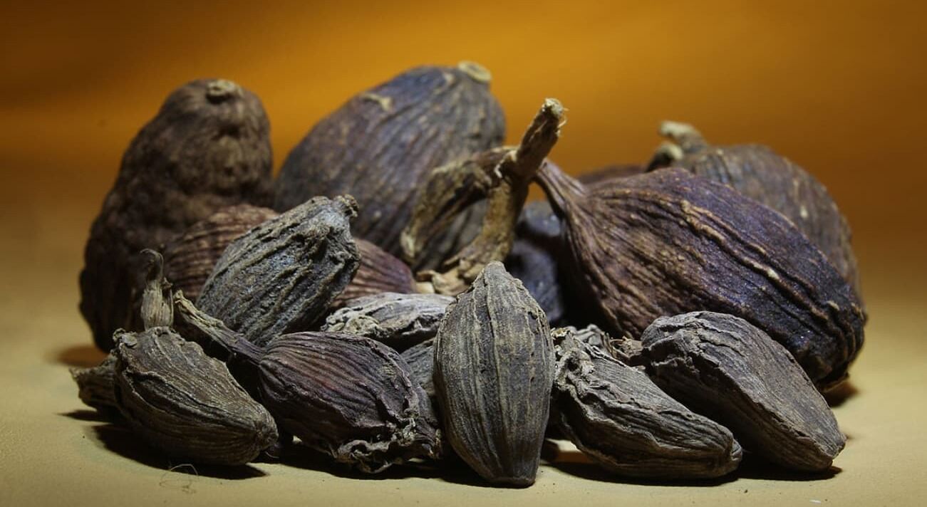 این دانه در طب سنتی به عنوان پادشاه پزشکی شناخته می شود
