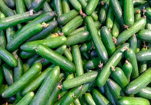 درباره خیار و خواص آن بیشتر بخوانید + طبع و ارزش غذایی