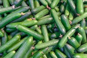 درباره خیار و خواص آن بیشتر بخوانید + طبع و ارزش غذایی