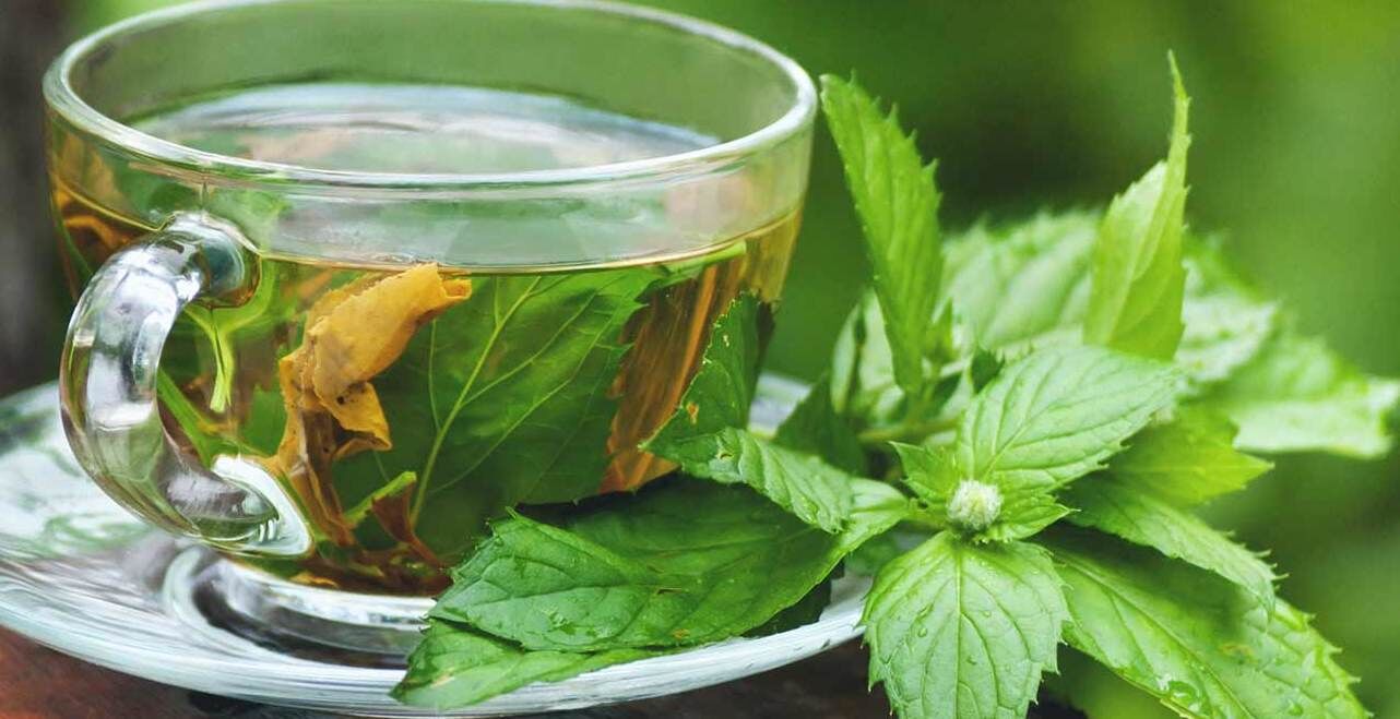داشتن خواب راحت با نوشیدن این ۷ چای + خواص