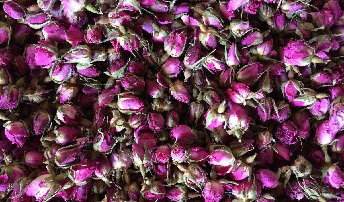 خواص گل محمدی