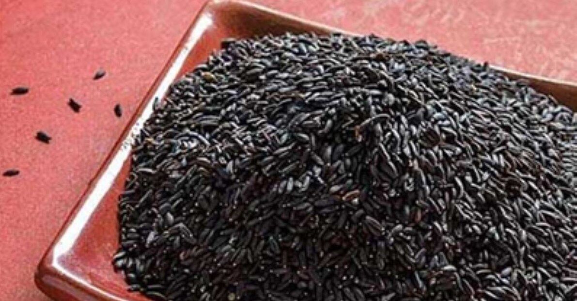 شربت تخم بالنگو؛ رژیمی و پرخاصیت + طرز تهیه 