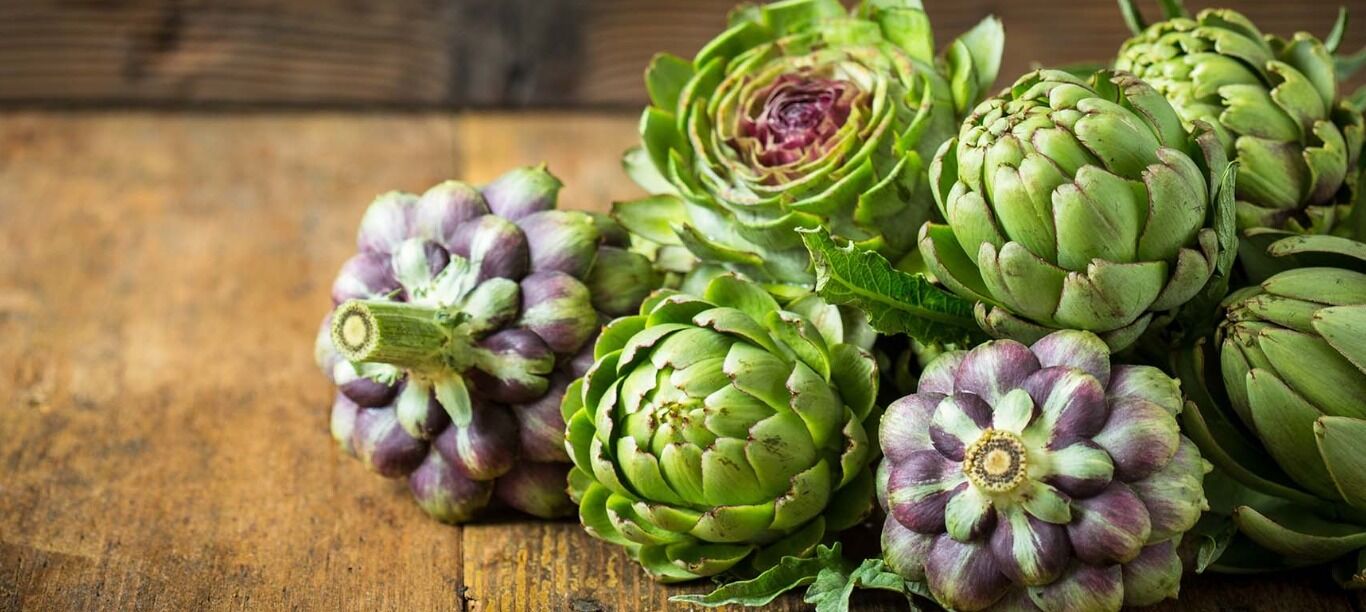 کنگر فرنگی؛ یک سبزی همه کاره در طب سنتی + فواید  