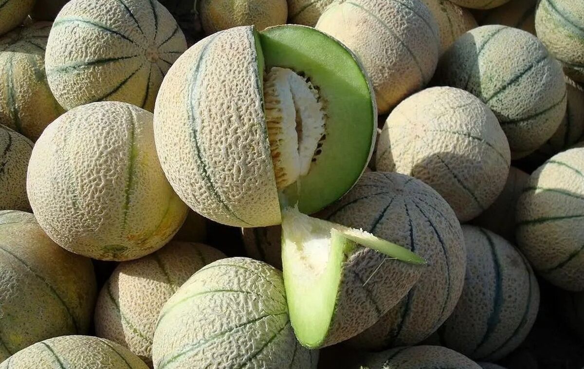 خواص طالبی