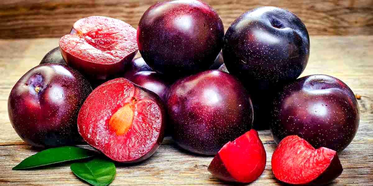 خواص آلوچه قرمز