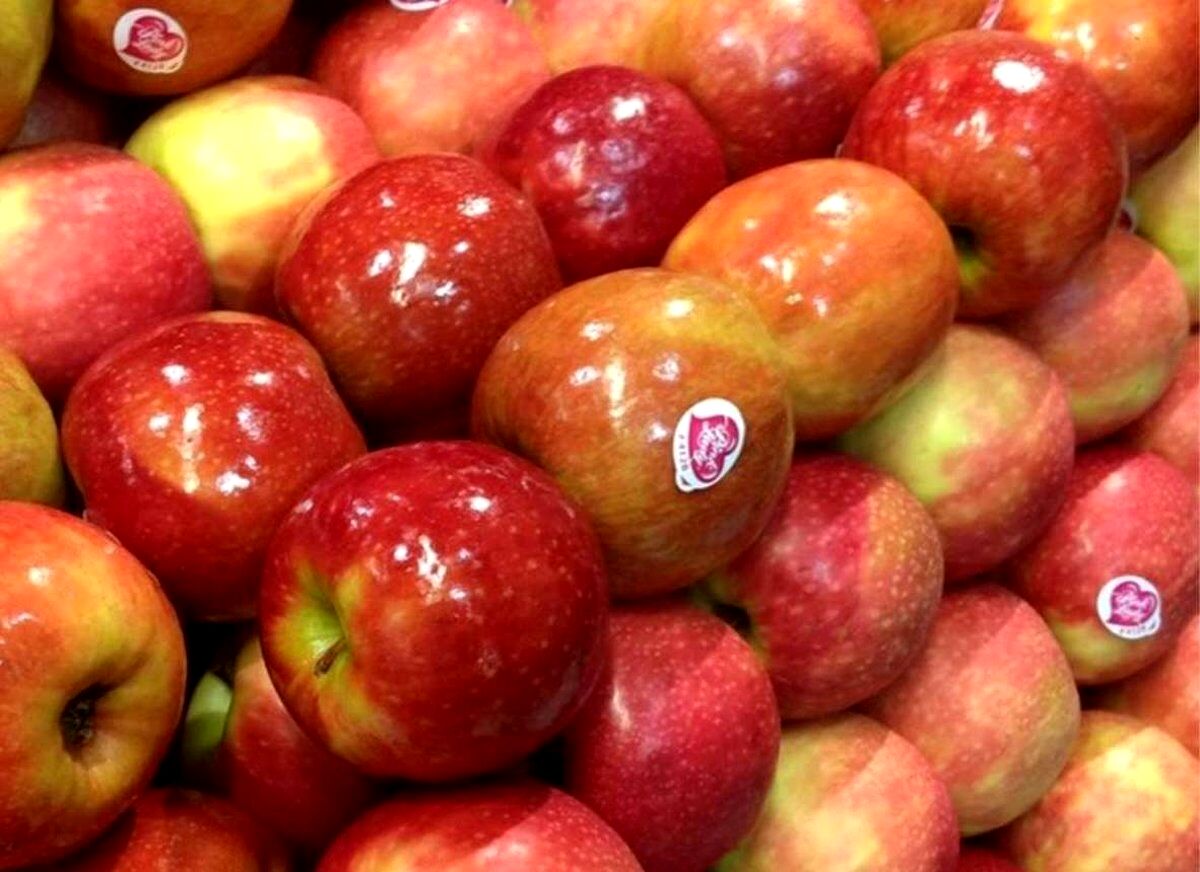 میوهای پوست براق