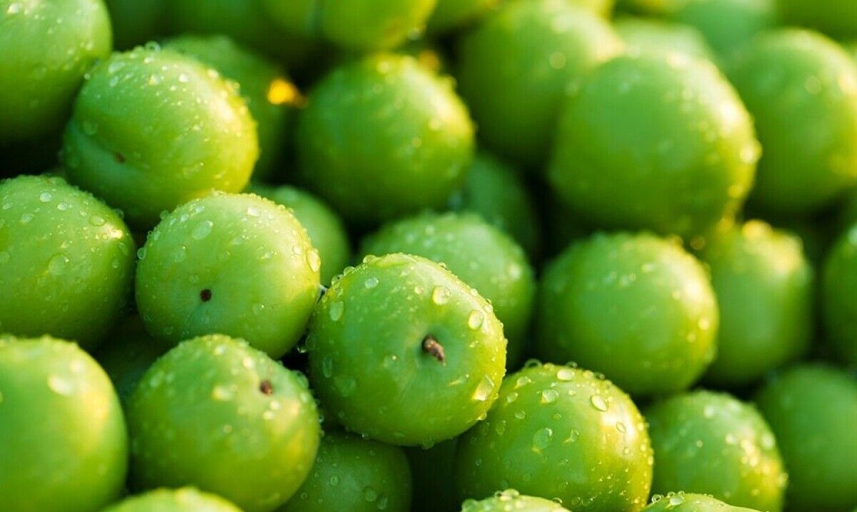 چه کسانی نباید گوجه سبز بخورند؟