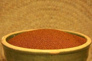 فواید خاکشیر در بارداری؛ چه خواص و مضراتی دارد؟