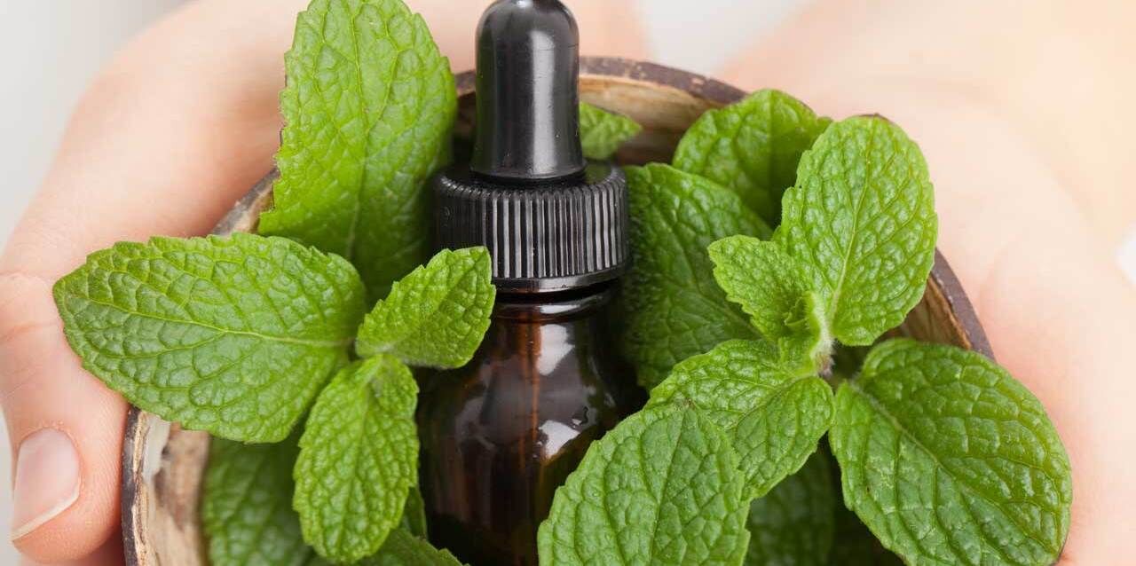 بهبود مشکلات تیروئید با استفاده از این ۱۲ روغن گیاهی 