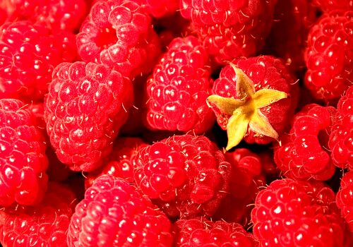 می خوای تو روزهای گرم یبوست نگیری؟ تمشک بخور! 