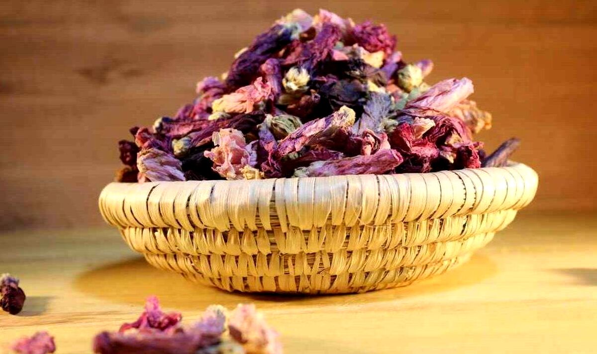 گل ختمی