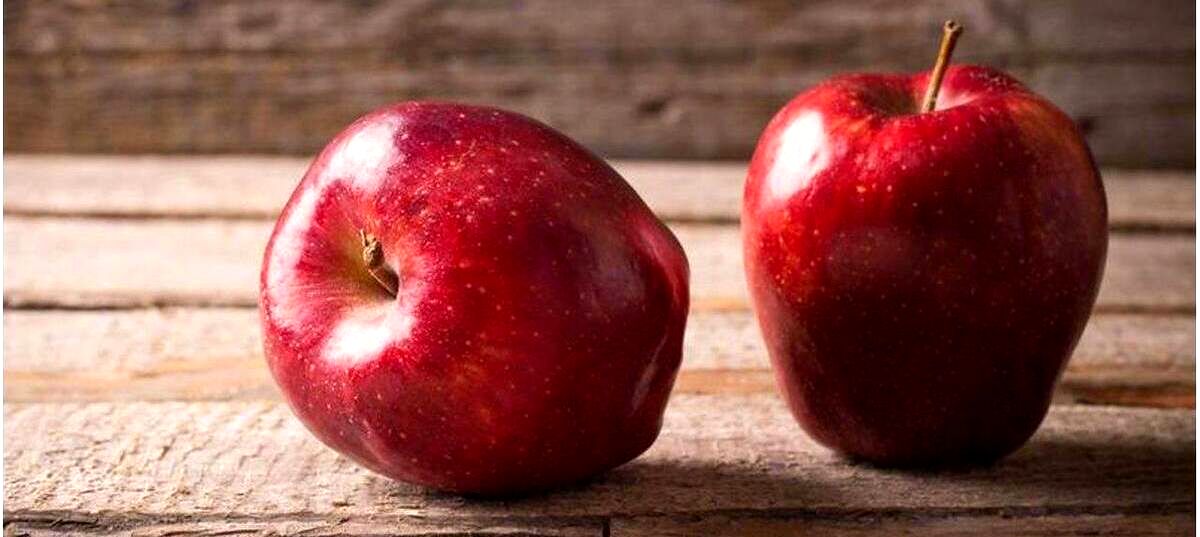 رژیم سیب
