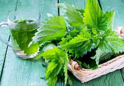 این اسانس گیاهی در کوتاه ترین زمان زخم های پوستی را درمان می کند