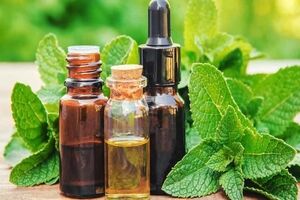 عرق نعنا رو با چی ترکیب کنیم تا بترکونه؟ 