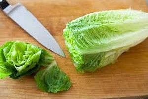 همه چیز درباره خواص بی نظیر کاهو + طبع 