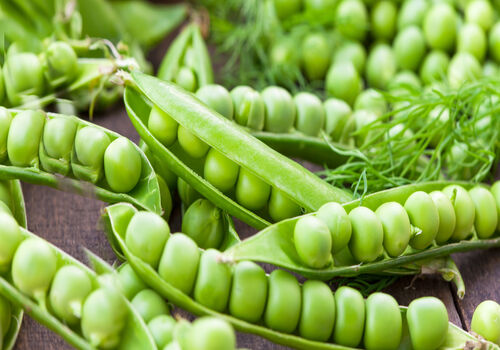 مهم ترین فواید نخود فرنگی برای کودکان + روش استفاده