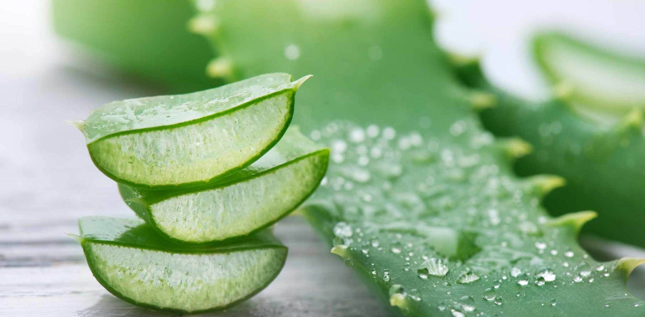 خواص شگفت انگیز آلوئه ورا برای معده درد