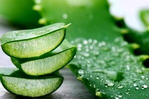 خواص شگفت انگیز آلوئه ورا برای معده درد