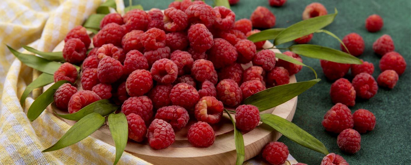 همه چیز درباره تمشک و خواص آن برای بدن + عکس 