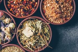 پرداخت بیش از6میلیارد ریال وام به بهره برداران گیاهان دارویی