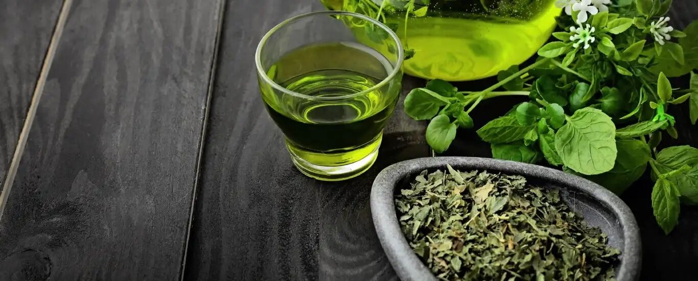 آنچه درباره چای سبز بهتر است بدانیم | همه خواص چای سبز