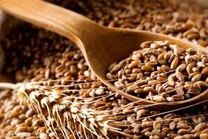 خواص گندم برای سلامت بدن + طبع و ارزش غذایی