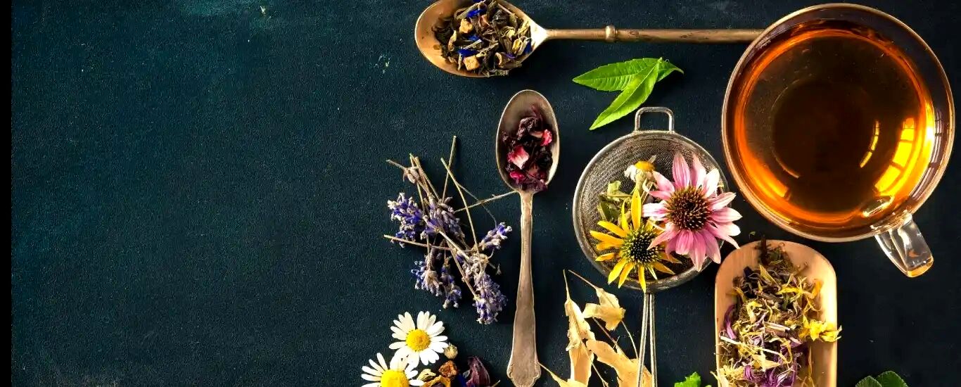 دمنوش های موثر برای دفع سنگ کلیه