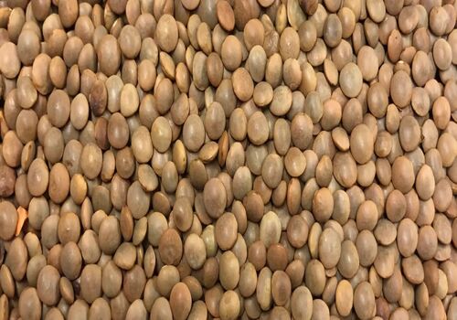 خواص عدس، دانه ای سرشار از پروتئین + طبع عدس