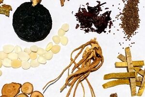درمان سنگ صفرا به روش های گیاهی | پاکسازی کیسه صفرا در طب سنتی