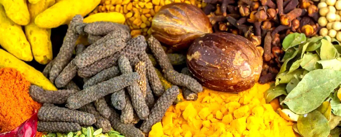 از بین بردن چربی های شکم و پهلو به روش گیاهی