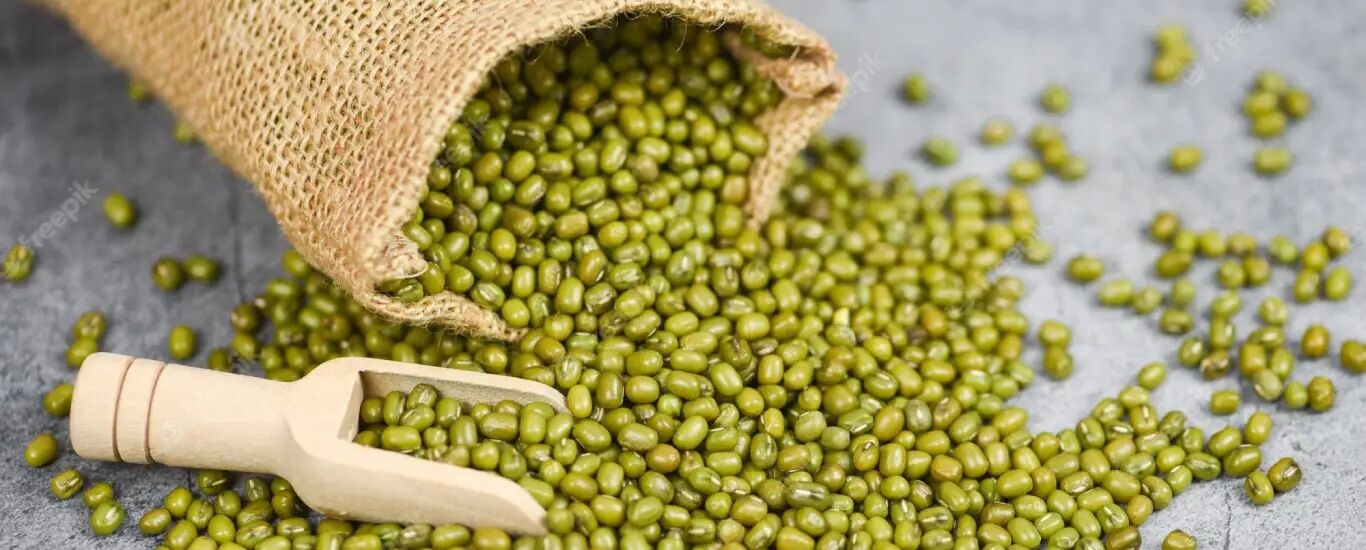 خواص ماش؛ یکی از حبوبات پرخاصیت + طبع و ارزش غذایی