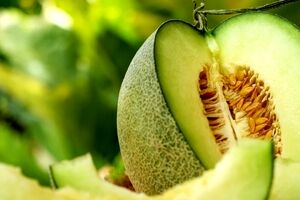 چند خاصیت مهم خربزه که نمی دانستید