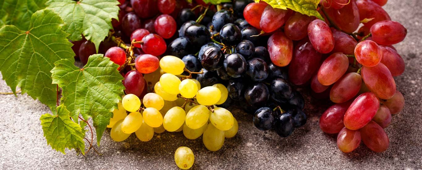 همه خواص انگور در طب سنتی + طبع و ارزش غذایی