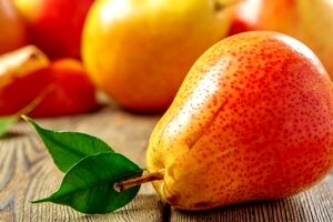خواص گلابی و هر آنچه که باید از آن بدانید + طبع و ارزش غذایی