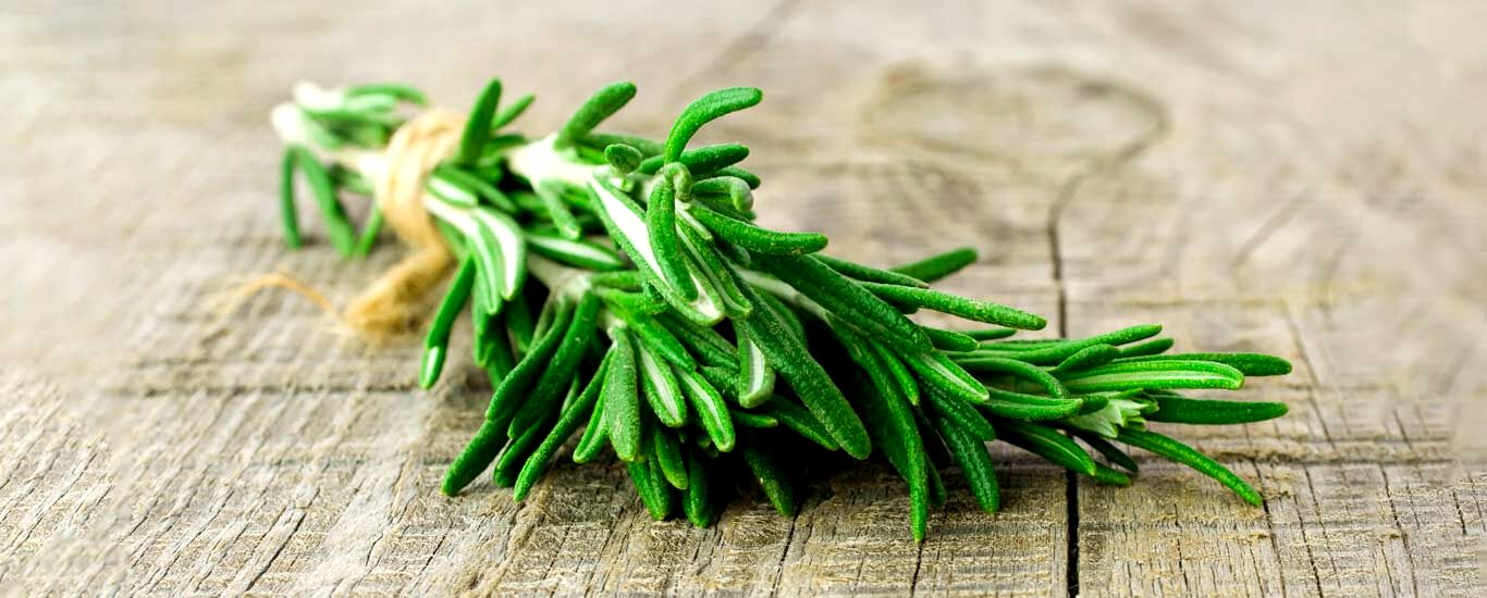 همه چیز در مورد رزماری و خواص آن 