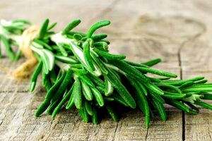 همه چیز در مورد رزماری و خواص آن 