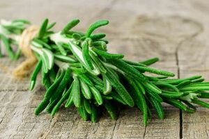 همه چیز در مورد رزماری و خواص آن 