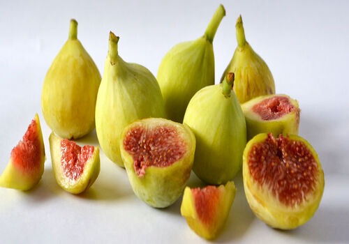 همه چیز در مورد انجیر و خواص آن + طبع و ارزش غذایی