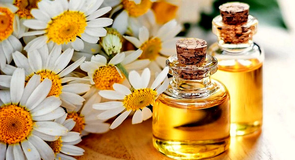 روغن بابونه برای مو 