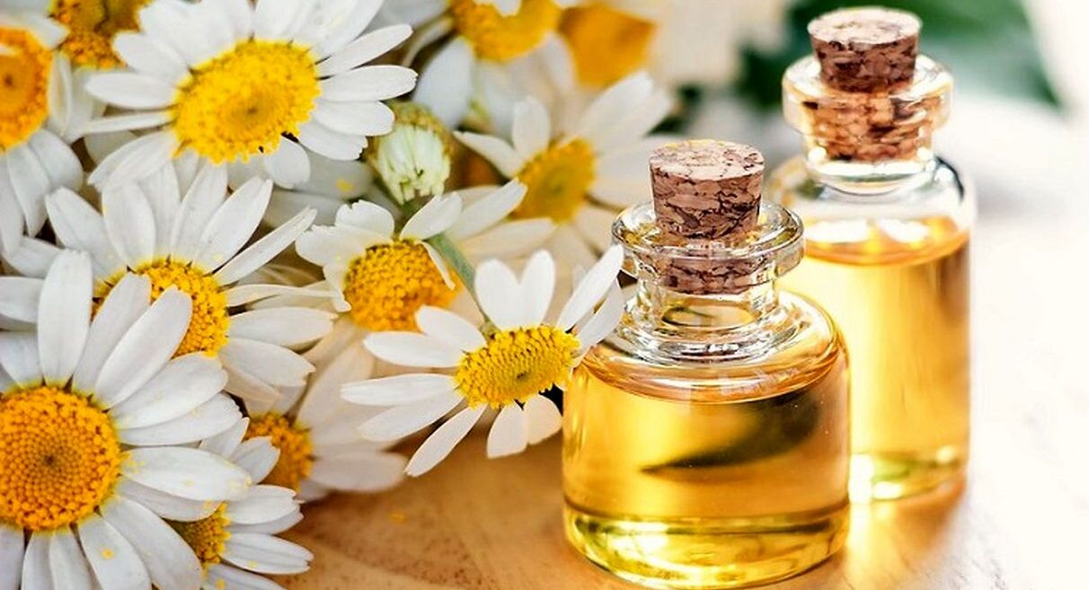با روغن بابونه به موهات جون بده + نحوه مصرف 