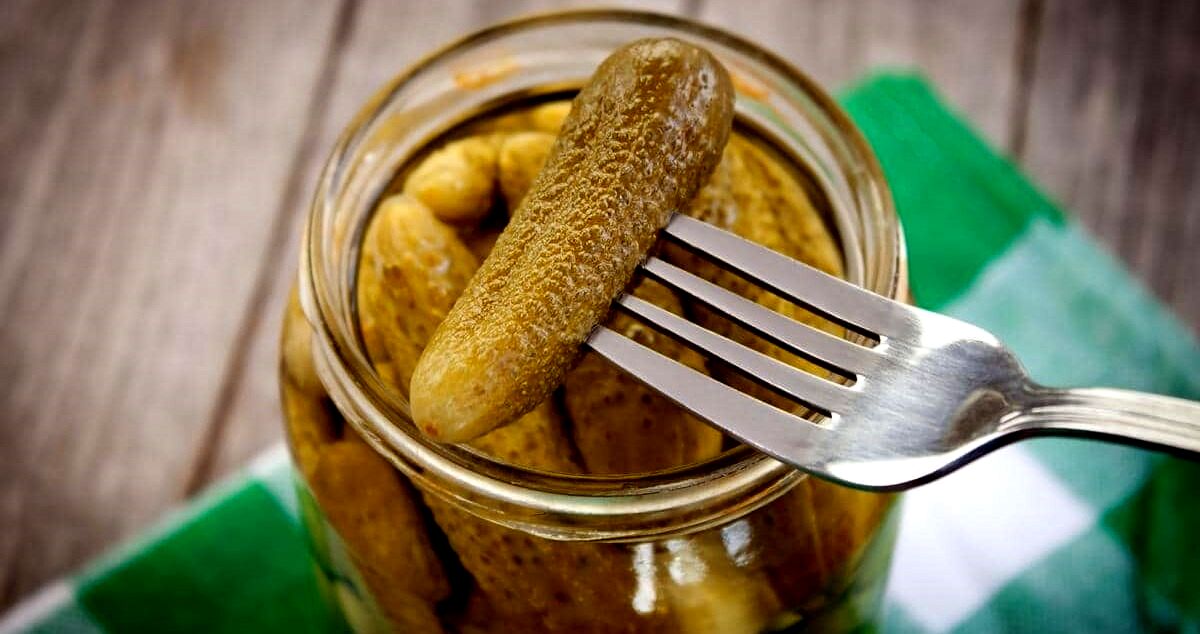 کپک مواد غذایی