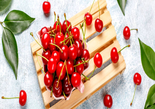 همه چیز در مورد آلبالو؛ خواص، کالری، طبع و ارزش غذایی آن
