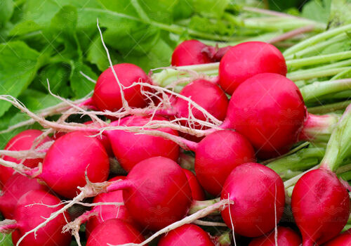 انواع ماسک با تربچه برای رفع جوش و لایه برداری + خواص و طرز تهیه
