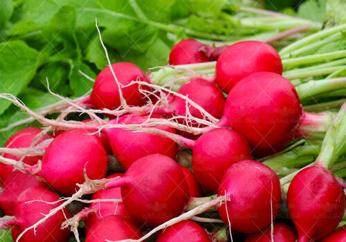 انواع ماسک با تربچه برای رفع جوش و لایه برداری + خواص و طرز تهیه