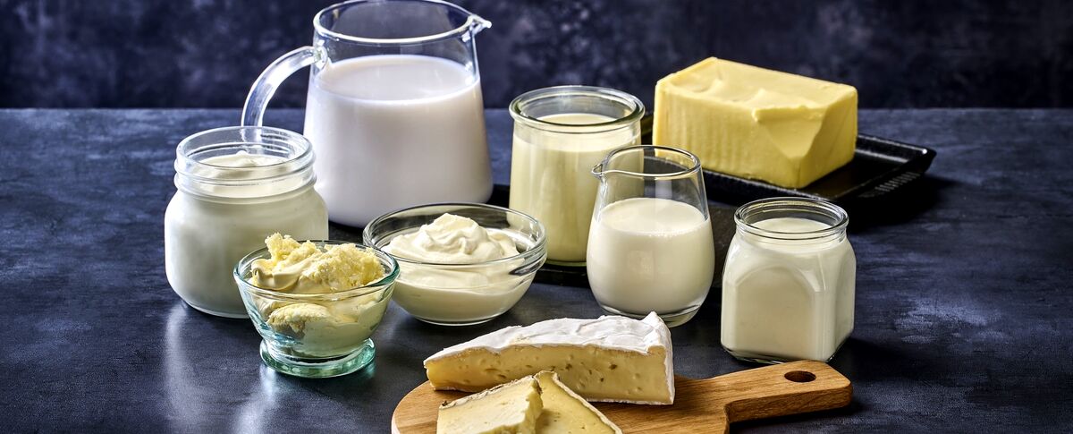 طبع لبنیات 