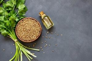 مهم ترین خواص تخم گشنیز که تا به حال نشنیدین! 