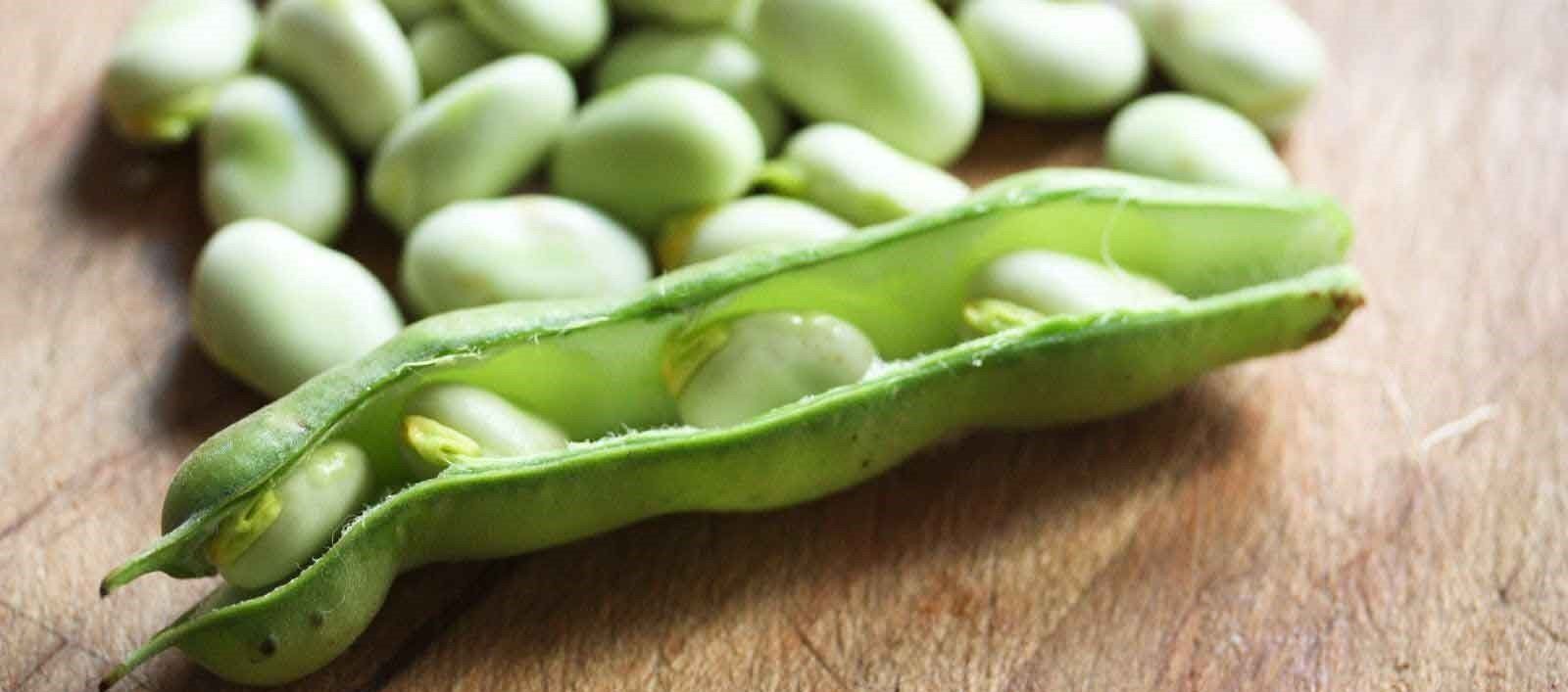 باقلا برای پوست و مو خواصی داره که فکرشم نمی کردی!